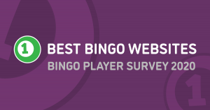 bingo player survey 2020