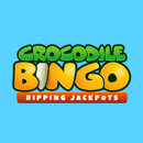 Crocodile Bingo